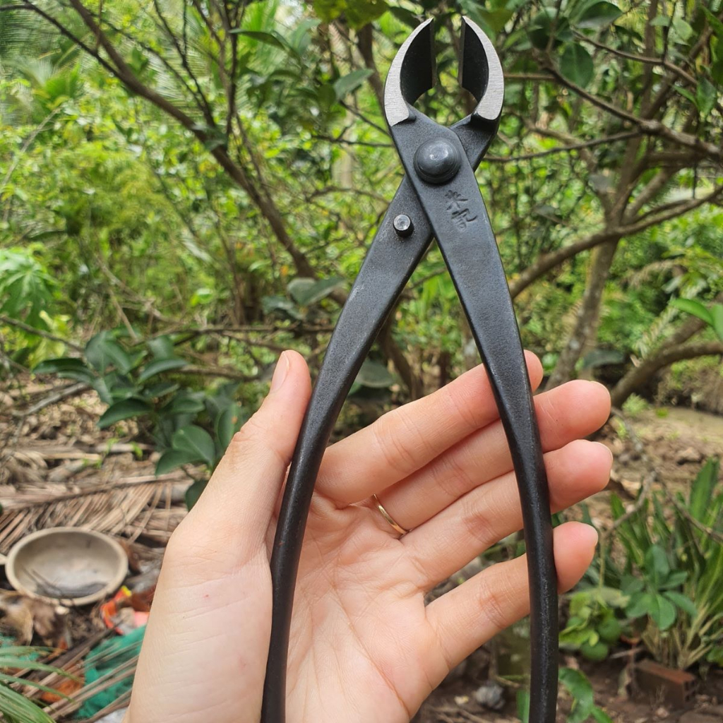 Cạp Tròn Cây Cảnh Bonsai MST Thép Đen Chất Lượng - Dụng Cụ Nông Nghiệp GD Smart