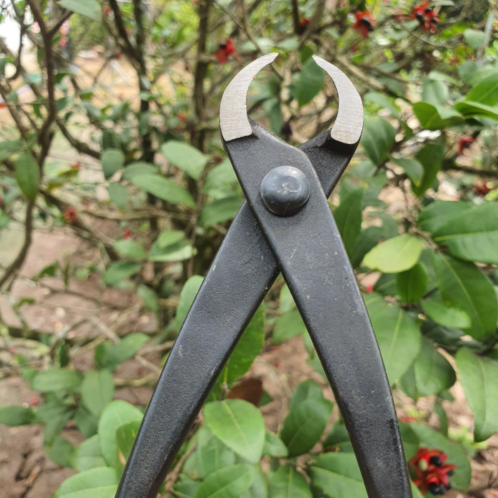 Cạp Tròn Cây Cảnh Bonsai MST Thép Đen Chất Lượng - Dụng Cụ Nông Nghiệp GD Smart