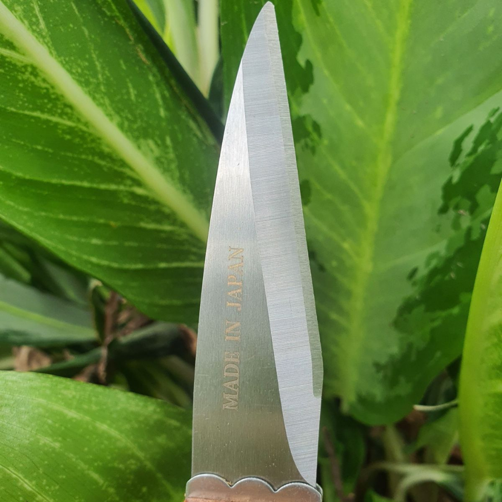 Dao Ghép Cành Gọt Cành Bonsai Cây Cảnh Nhật Bản - Dụng Cụ Nông Nghiệp GD Smart