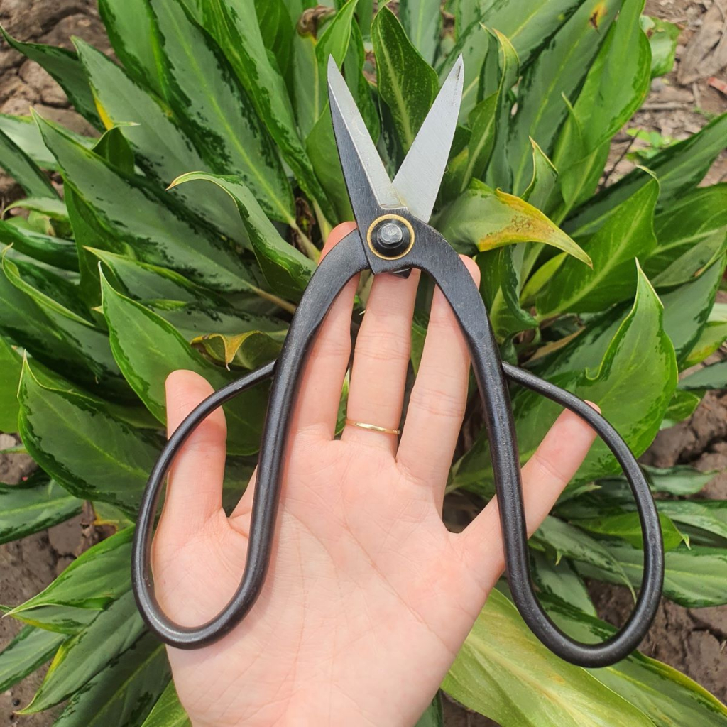 Kéo Cắt Cành Tỉa Cành Cây Bonsai Chất Liệu Thép Đen - Dụng Cụ Nông Nghiệp GD Smart