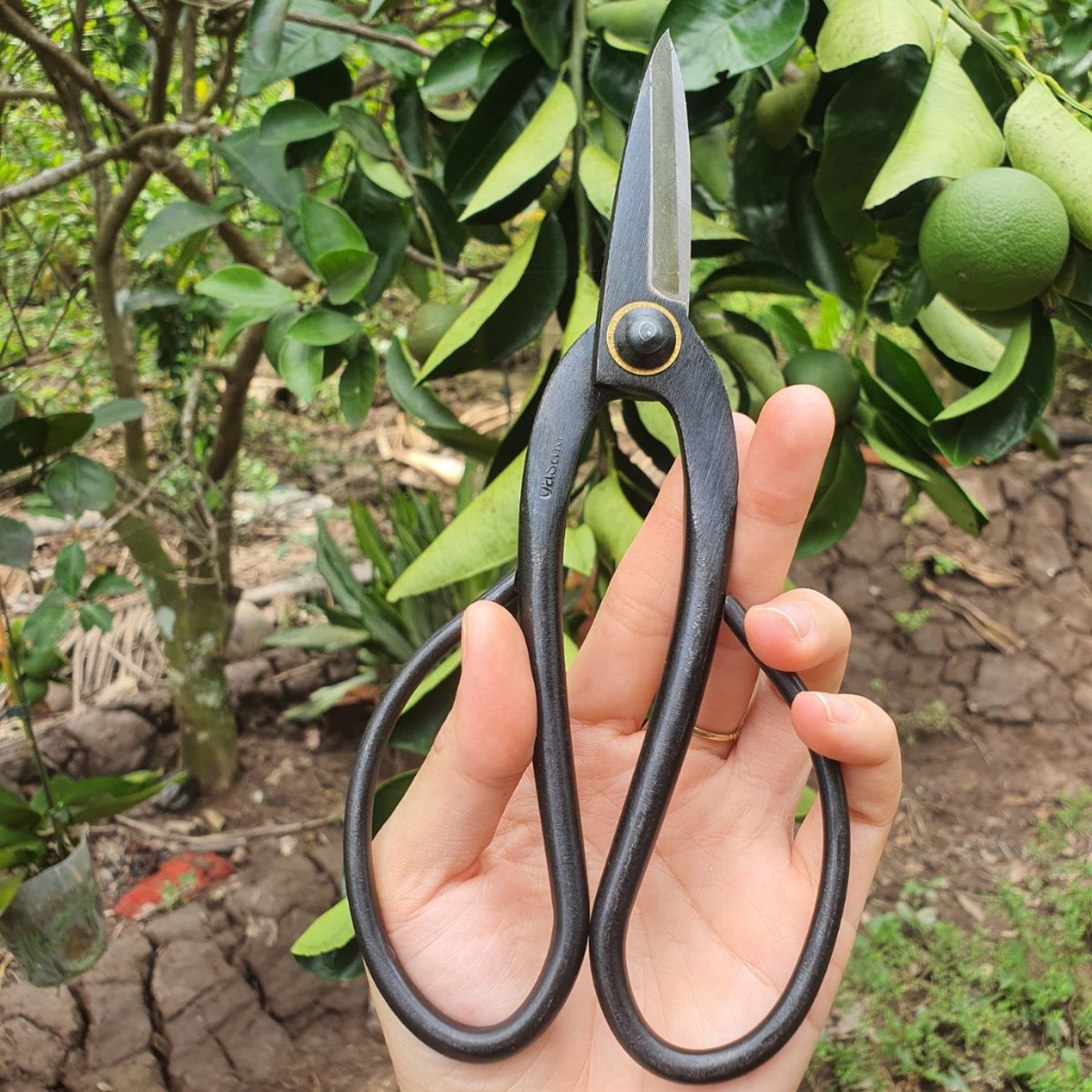 Kéo Cắt Cành Tỉa Cành Cây Bonsai Chất Liệu Thép Đen - Dụng Cụ Nông Nghiệp GD Smart