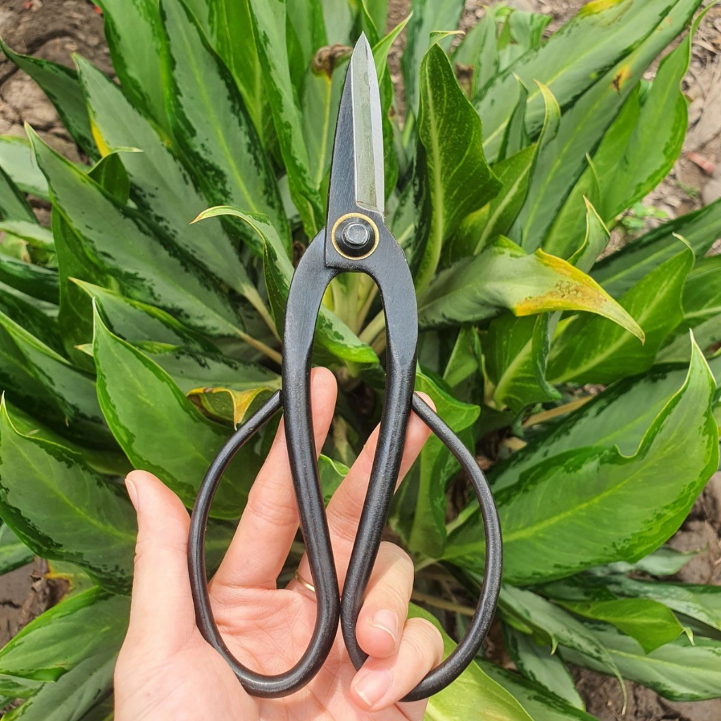 Kéo Cắt Cành Tỉa Cành Cây Bonsai Chất Liệu Thép Đen - Dụng Cụ Nông Nghiệp GD Smart