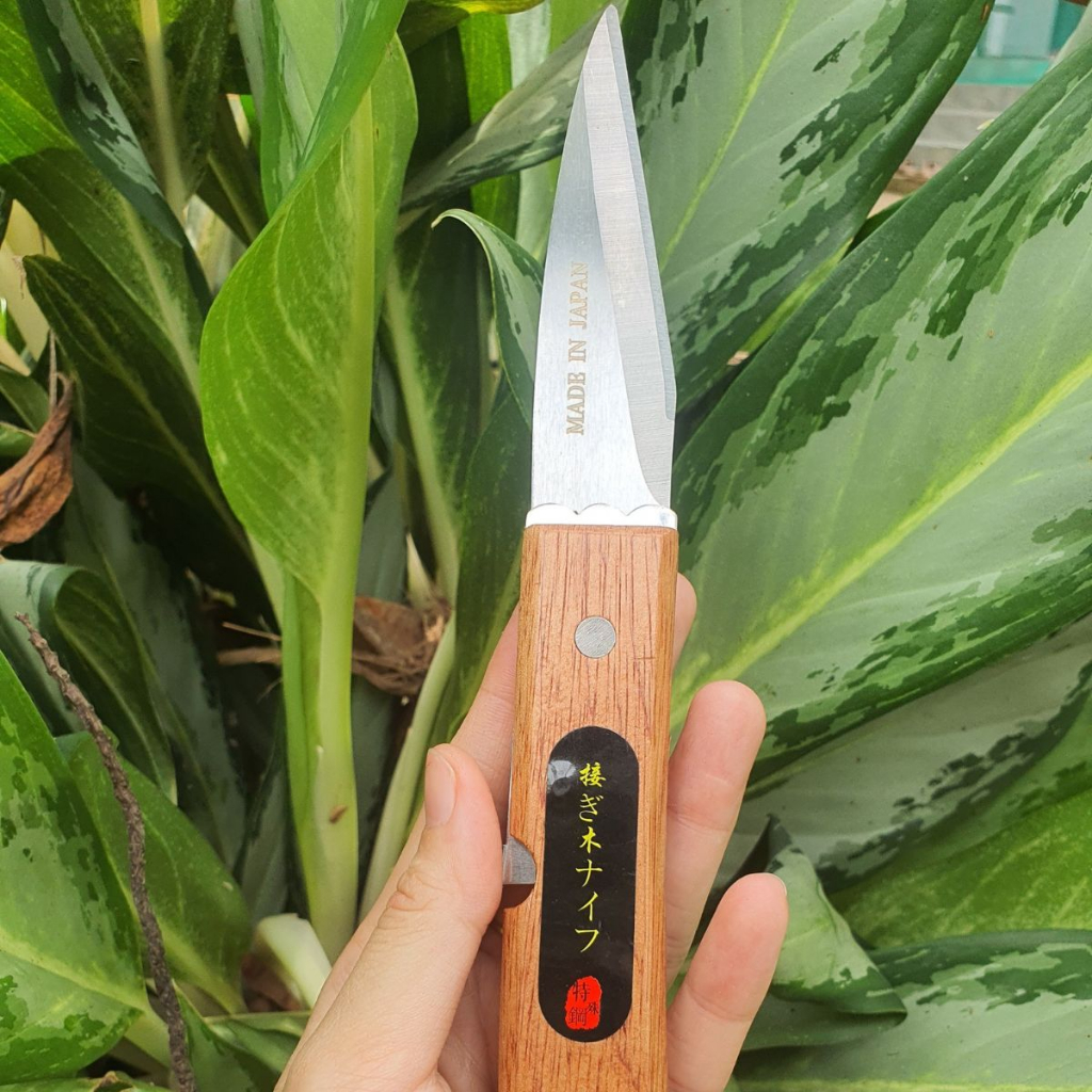 Dao Ghép Cành Gọt Cành Bonsai Cây Cảnh Nhật Bản - Dụng Cụ Nông Nghiệp GD Smart
