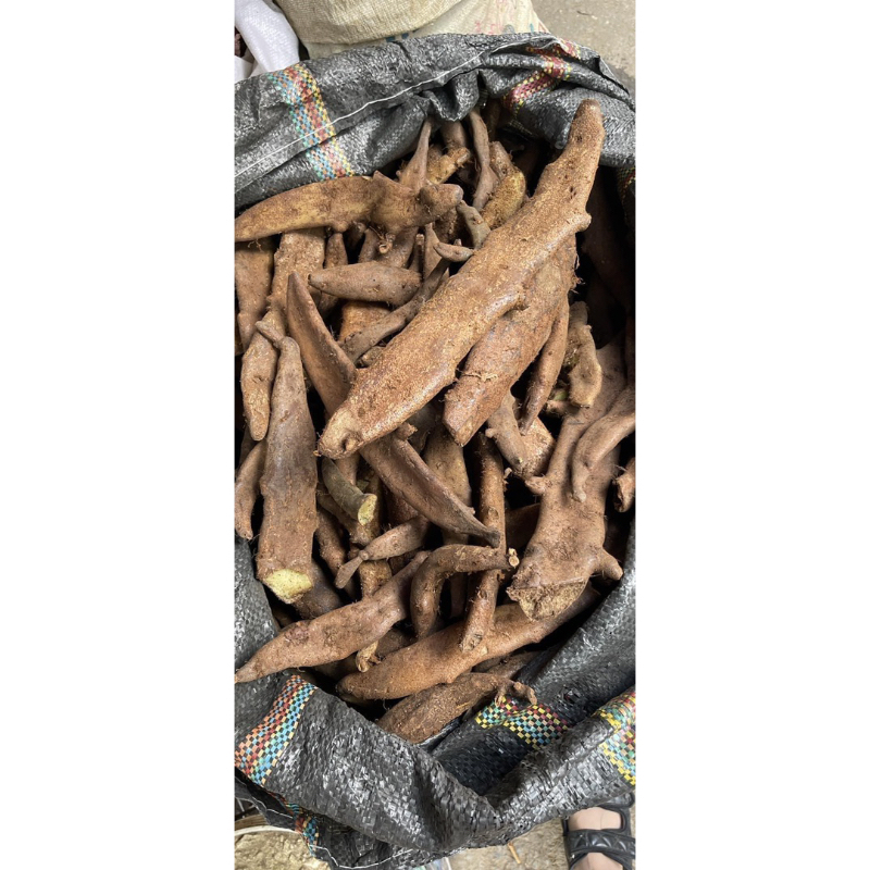 Tắc kè đá dẹt – Cốt toái bổ – Hàng tươi loại to, khô vàng thơm sạch – 1kg