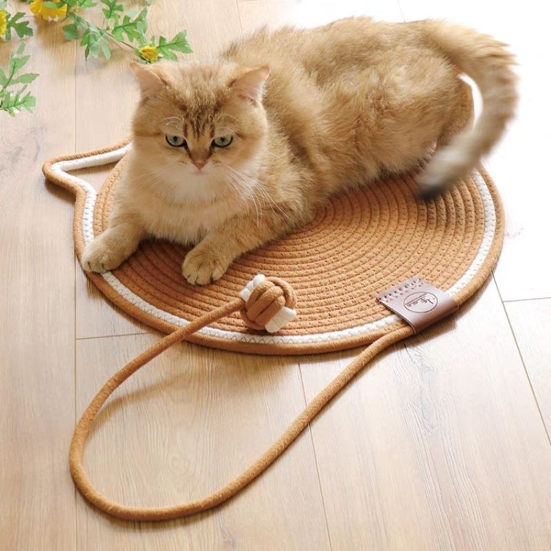 Thảm Cào Móng Dây Thừng Cho Mèo