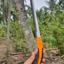 Cưa Cầm Tay Mini Cưa Lách New Cưa Gỗ Bonsai Cây Cảnh Nhật Bản - Dụng Cụ Nông Nghiệp GD Smart
