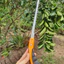 Cưa Cầm Tay Mini Cưa Lách New Cưa Gỗ Bonsai Cây Cảnh Nhật Bản - Dụng Cụ Nông Nghiệp GD Smart