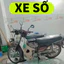 GHẾ ĐÔN SỐ INOX CAO CẤP YÊN NỆM ĐEN CHO BÉ