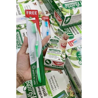 Kem Trắng Răng GREEN HERB Thái Lan 25gr tặng Bàn Chải đánh răng