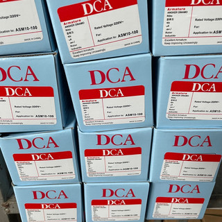 Rô tô máy mài góc DCA ASM10-100, ASM04-125 hoặc Dongcheng DSM10-100