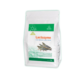 LACTOZYME TÔM (1KG) Vi Vi Sinh Vật Hữu Ích, Enzyme Tiêu Hóa Phòng Đường ...