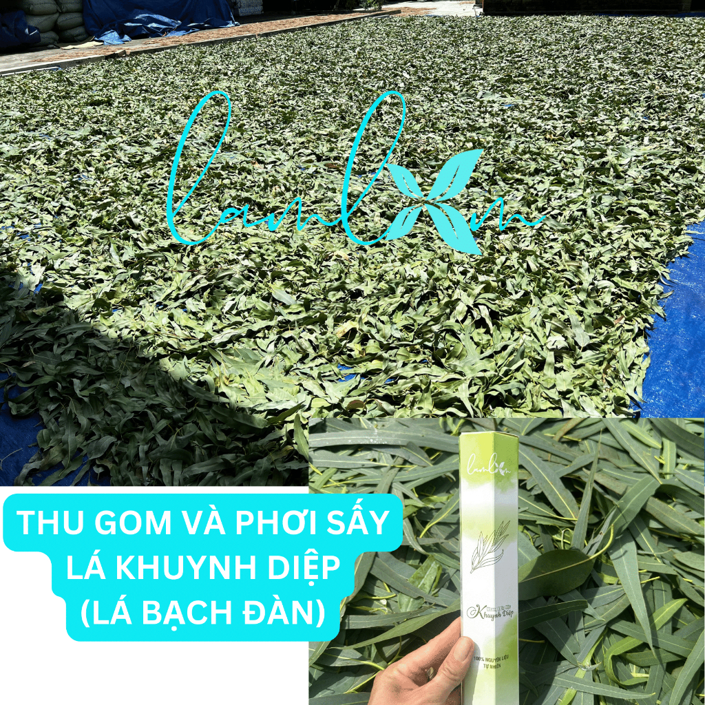 Nhang thảo mộc tự nhiên Lam Lam nhang ngắn chung cư ít khói an toàn được kiểm định