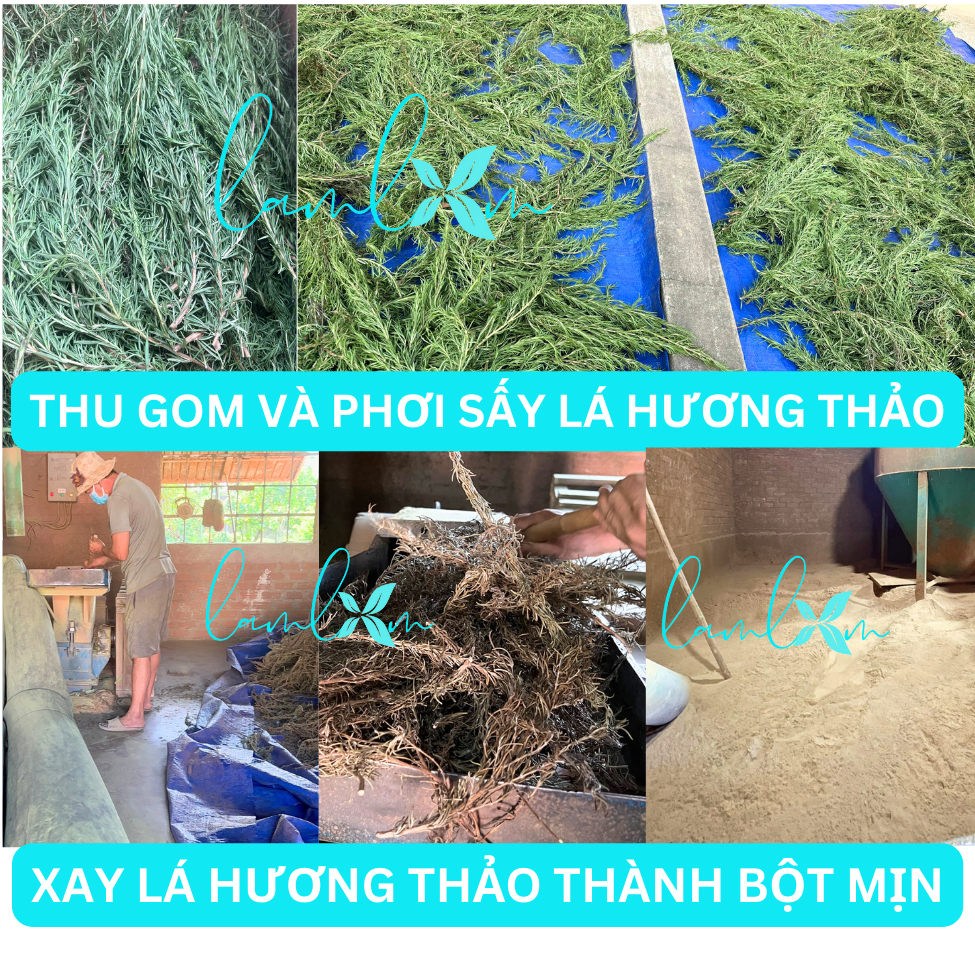 Nhang thảo mộc từ lá Hương Thảo Lam Lam nhang thư giãn, thờ cúng ít khói