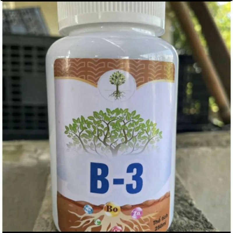 combo kích trái nghịch vụ cho sung và cây có trái