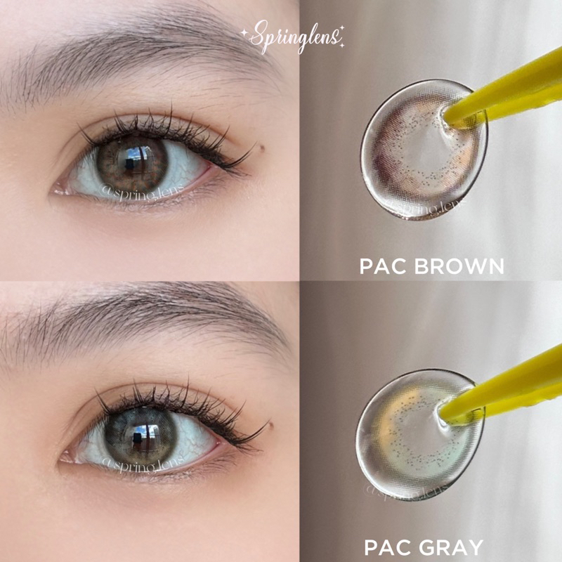 Kính áp tròng hiệu ứng chuyển 2 màu Pac Brown nâu gỗ hồng tím không giãn 1 tháng | Spring Lens