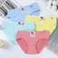 Quần lót nữ cotton thấm hút co giãn Pulo Mã Q02