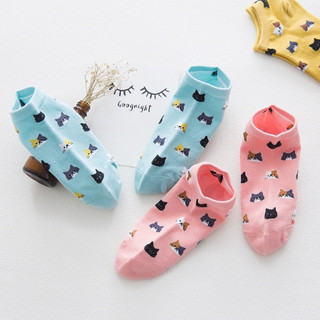 SET 5 đôi Tất, vớ nữ cổ ngắn Mèo nhỏ cute dễ thương phong cách Hàn Quốc 🌸free ship🌸