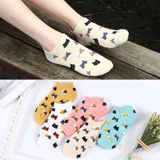 SET 5 đôi Tất, vớ nữ cổ ngắn Mèo nhỏ cute dễ thương phong cách Hàn Quốc 🌸free ship🌸