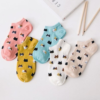 SET 5 đôi Tất, vớ nữ cổ ngắn Mèo nhỏ cute dễ thương phong cách Hàn Quốc 🌸free ship🌸