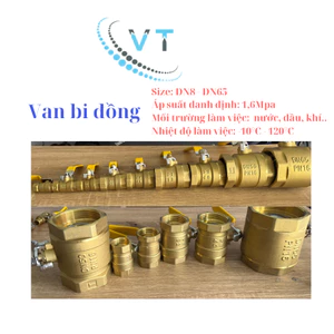 Van bi đồng thau tay gạt phi từ 60mm - 76mm, DN50, DN65