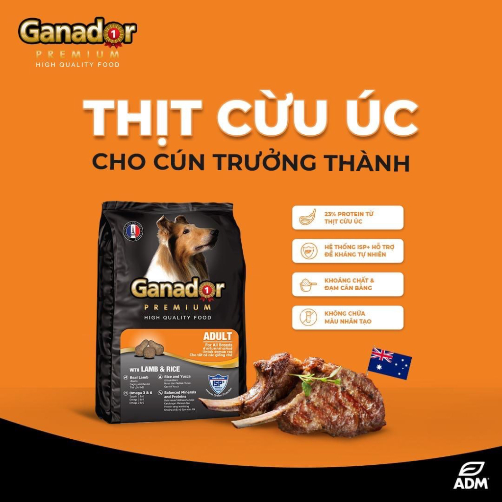 Hạt Ganador Premium Adult hạt khô dành cho chó trưởng thành vị ( Lamb ...