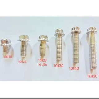 DIAMOND - ỐC ĐẦU TRỤ 10LI VÀNH TO - CHÂN KÍNH, TREO PÔ, PASS HEO SALAYA INOX gắn mọi loại xe