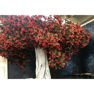 Chùm hoa đỗ quyên 12 nhánh lên cây, cắm bình , decor,…- Hoa giả trang trí