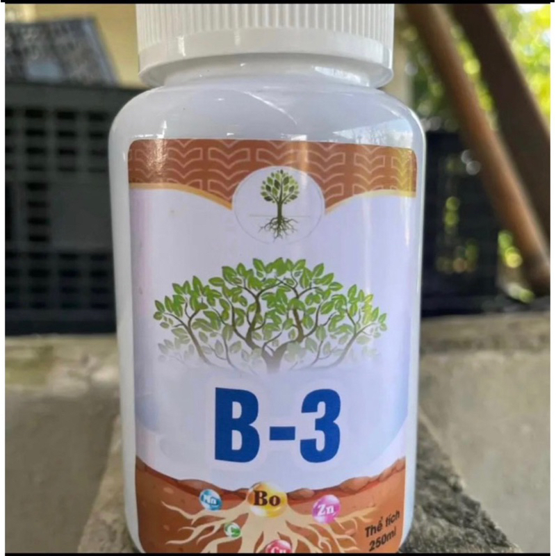 sieu dướng cây B3 cho cây cảnh cây bonsai hoa lan