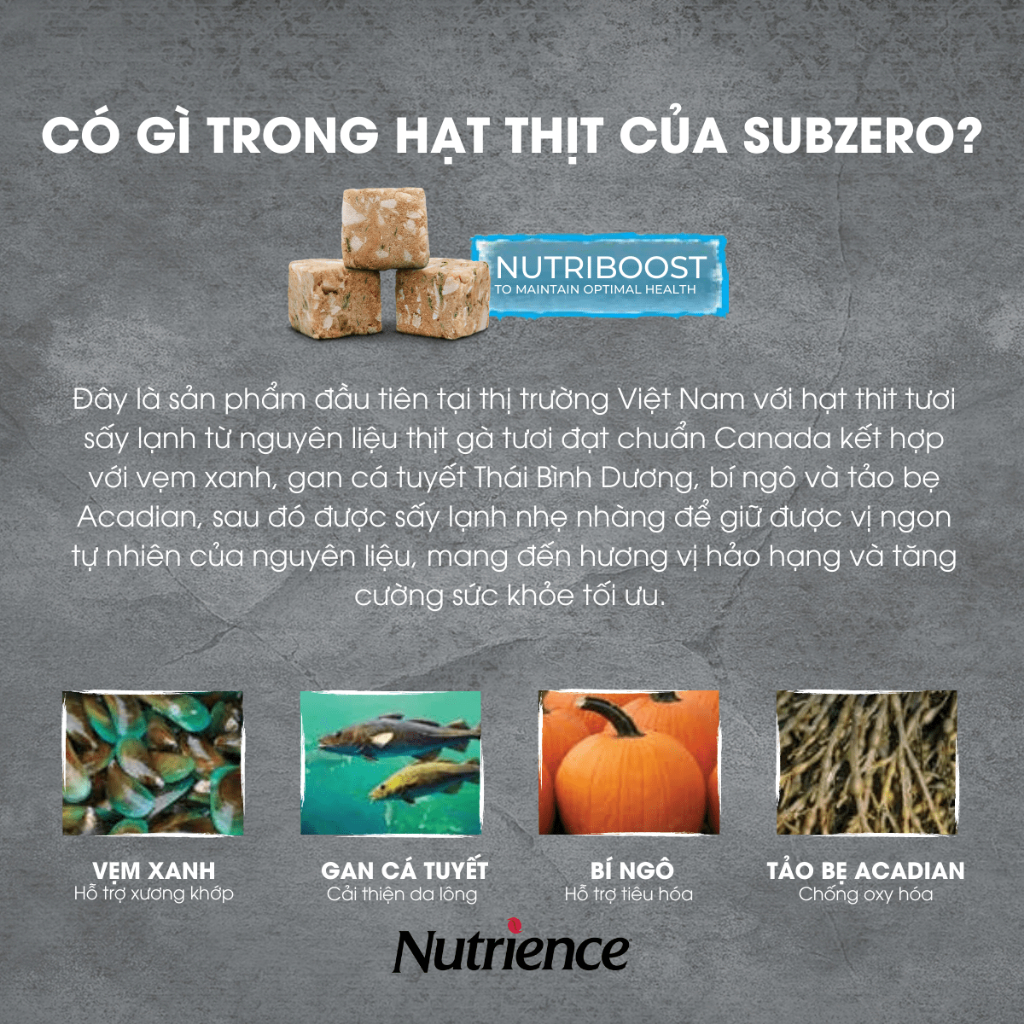 Ảnh Hạt nhỏ cho chó Nutrience Subzero Grain-free - gà tây, cá hồi, cá trích, cá tuyết và rau củ quả 500g 3