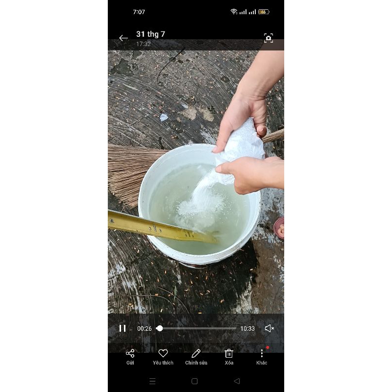 Bột Tẩy Rong Rêu 500gram - Nguyên Chất Không Trộn Đá Vôi
