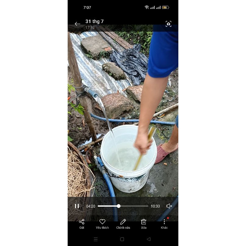 Bột Tẩy Rong Rêu 500gram - Nguyên Chất Không Trộn Đá Vôi