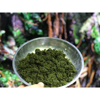 100gram rêu minifiss hàng vò dùng ươm trồng trong bể cá thủy sinh ,làm nên hồ cá giá rẻ