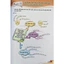 Sách - Vở tập làm văn Lớp 2, 3 ,4 , 5 Tập 1+2 (Kết nối tri thức với cuộc sống) #huongbook
