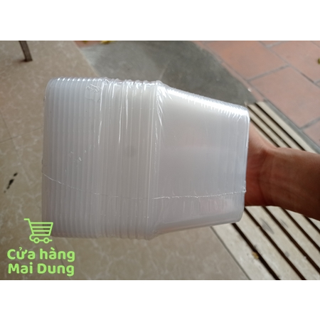 Combo 10 hộp nhựa đựng thực phẩm chữ nhật 1000ml Việt Nhật 6637 AMIZIN