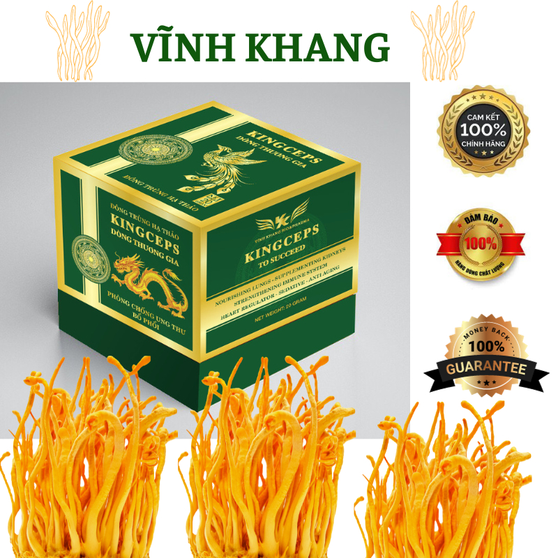 Đông trùng Hạ thảo Sấy khô Cao cấp Vĩnh Khang Dòng Thương Gia. Chất ...