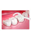 Tăm chỉ nha khoa DENTAL hộp 50 chiếc tăm chỉ sợi mảnh giúp bạn chăm sóc răng miệng an toàn tiện lợi TC3