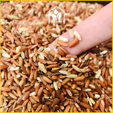 2kg Gạo lứt đỏ dẻo Điện Biên ăn thử, gạo huyết rồng Điện Biên, đặc sản Tây Bắc, ăn dẻo ngọt - Gạo ngon Phúc Lâm Shop