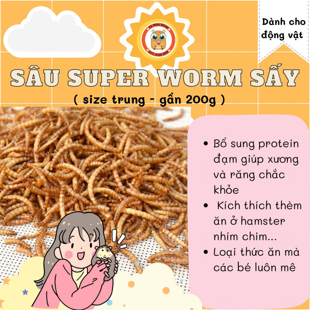 sâu super worm sấy khô size trung 200gr 500gr 1kg dành cho hamster, sóc ...