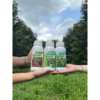 Siêu dinh dưỡng, siêu lớn trái chuyên cây có múi, cây ăn trái 500ml