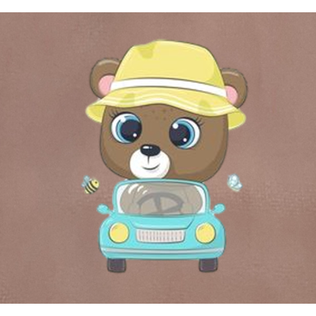 HÌNH ỦI ÉP NHIỆT-HÌNH XE cute-HÌNH ủi áo trực tiếp bằng bàn ủi -Hình in chuyển nhiệt-Gía Khuyến Mãi-THEO YỀU CẦU NHẮN TI