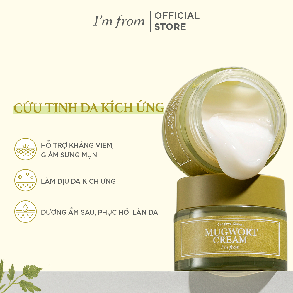 Ảnh Kem dưỡng Ngải Cứu phục hồi, làm dịu cho da mụn I'm from Mugwort Cream 50g 4