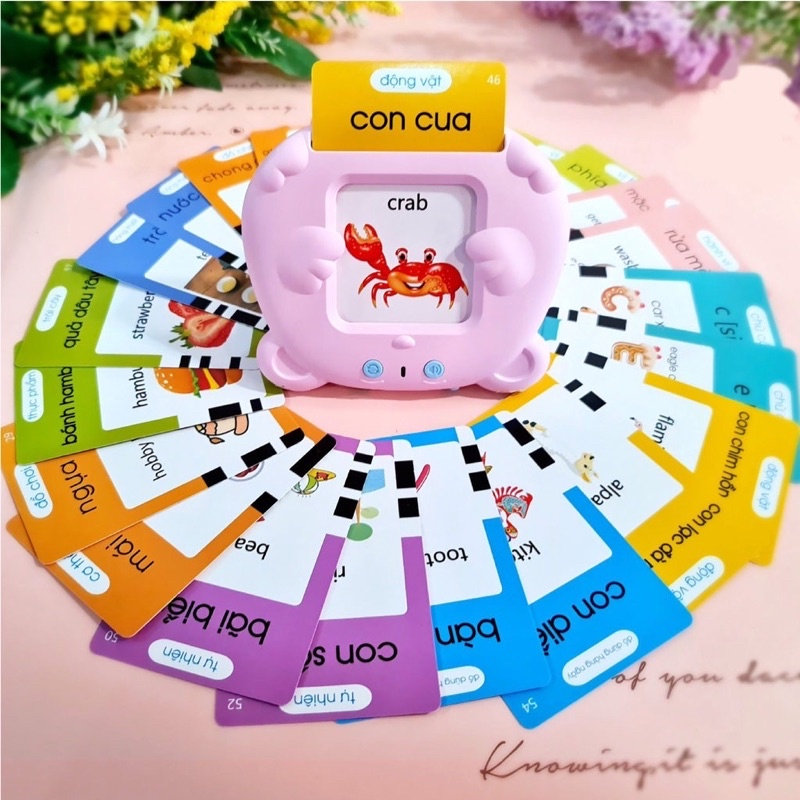 Máy Đọc Thẻ Flashcard Anh-Việt 3 Chế Độ Đọc: Song Ngữ Anh-Việt, Tiếng Anh, Tiếng Việt Kèm Phát Nhạc