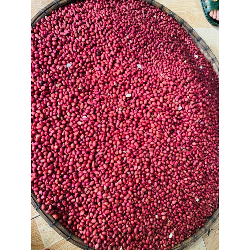 Lạc nhân đỏ Tây Bắc Thơm Bùi Ngọt túi 500gr Hút Chân Không