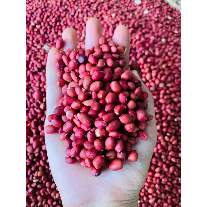 Lạc nhân đỏ Tây Bắc Thơm Bùi Ngọt túi 500gr Hút Chân Không