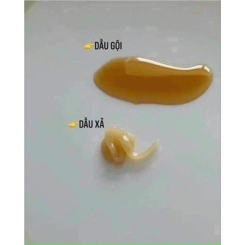 Set Dầu gội và dầu xả Whoo,Chăm Sóc Da Đầu Phục Hồi Tóc Hư Tổn
