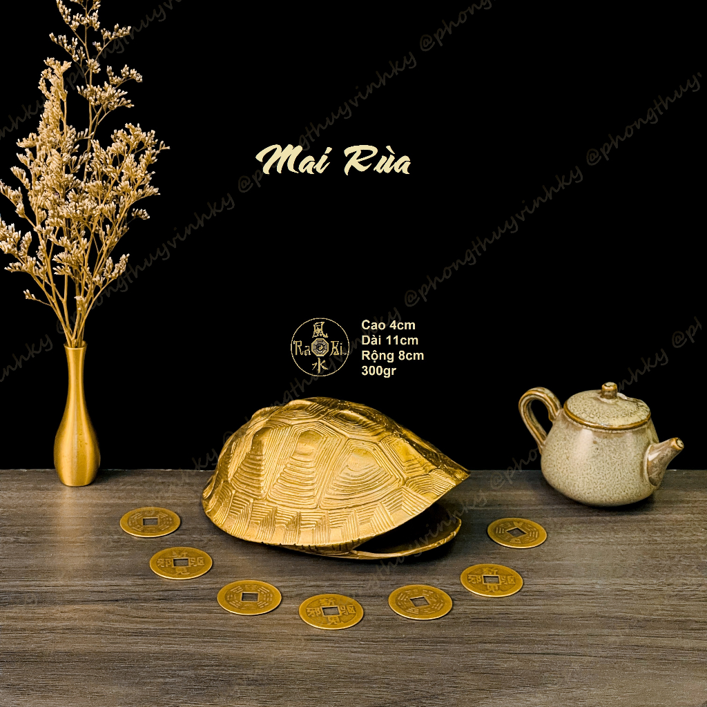 Vỏ Mai Rùa Đồng Vàng 11cm - Vật Phẩm Đồng Phong Thủy | Shopee Việt Nam