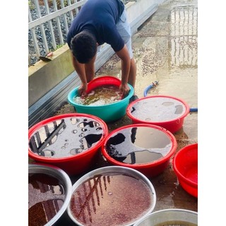 bột ngũ cốc Lợi Sữa, Tăng Cân, Giảm Cân, hơn 20 loại hạt maca, hạt óc chó, hạnh nhân,...