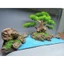 Tiểu cảnh dành cho bể cá cảnh kích thước 40 cm trở lên. Cây Bonsai tán Tùng kết hợp với sỏi, đá, cát, dán trên Tấm Alu