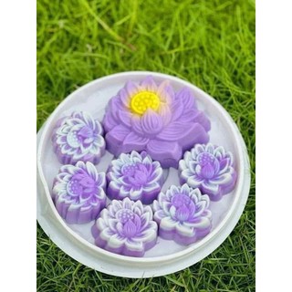 sét 10 khuôn hoa sen 5cm silicon