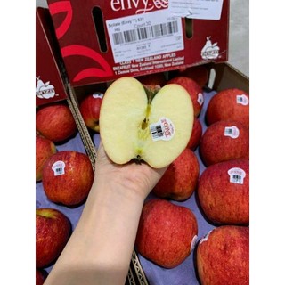 < JENNY FRUIT > TÁO ENVY NEWZEALAND GIÒN NGỌT